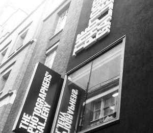 Human Rights Human Wrongs international student bloggers