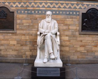Natural History Museum international student bloggers