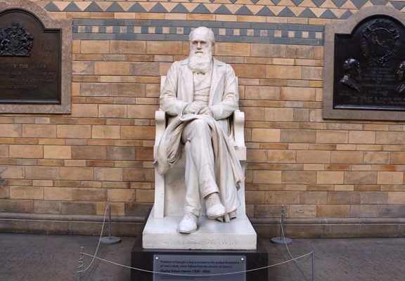 Natural History Museum international student bloggers