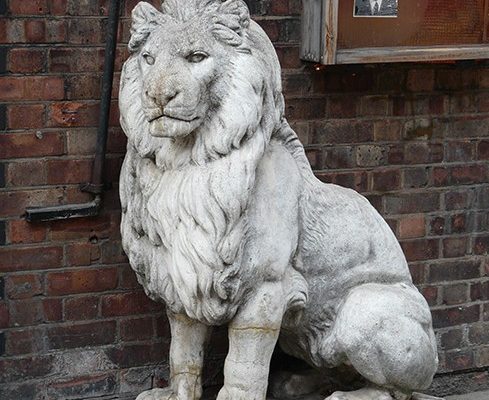 Club Row Live Animal Market