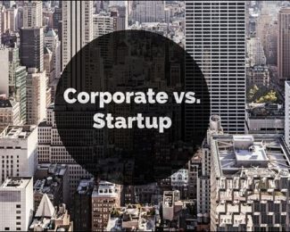 Startups vs Corporates International student bloggers