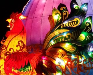 Spring Festival international student bloggers