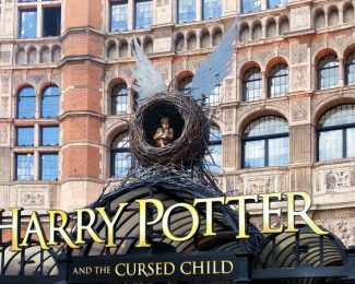 harry potter international student bloggers