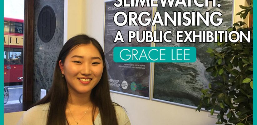 Silmewatch - Organising a Public Exhibition - - International Student Blogger, Grace Lee - title image
